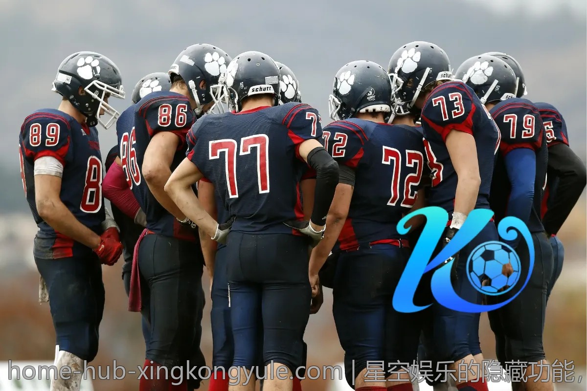 星空娱乐的隐藏功能，解锁全新体验！